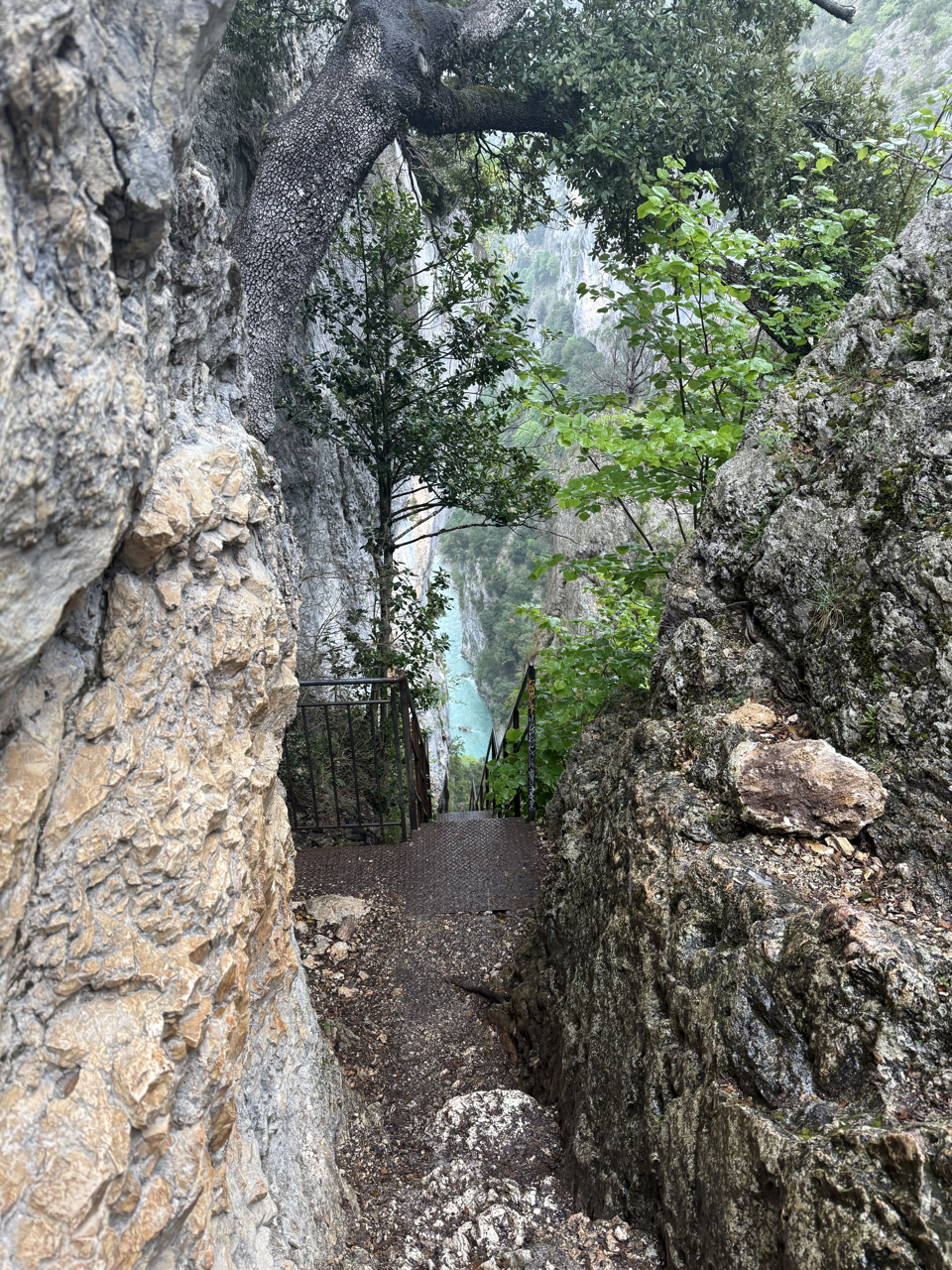 Sentier Blanc Martel
